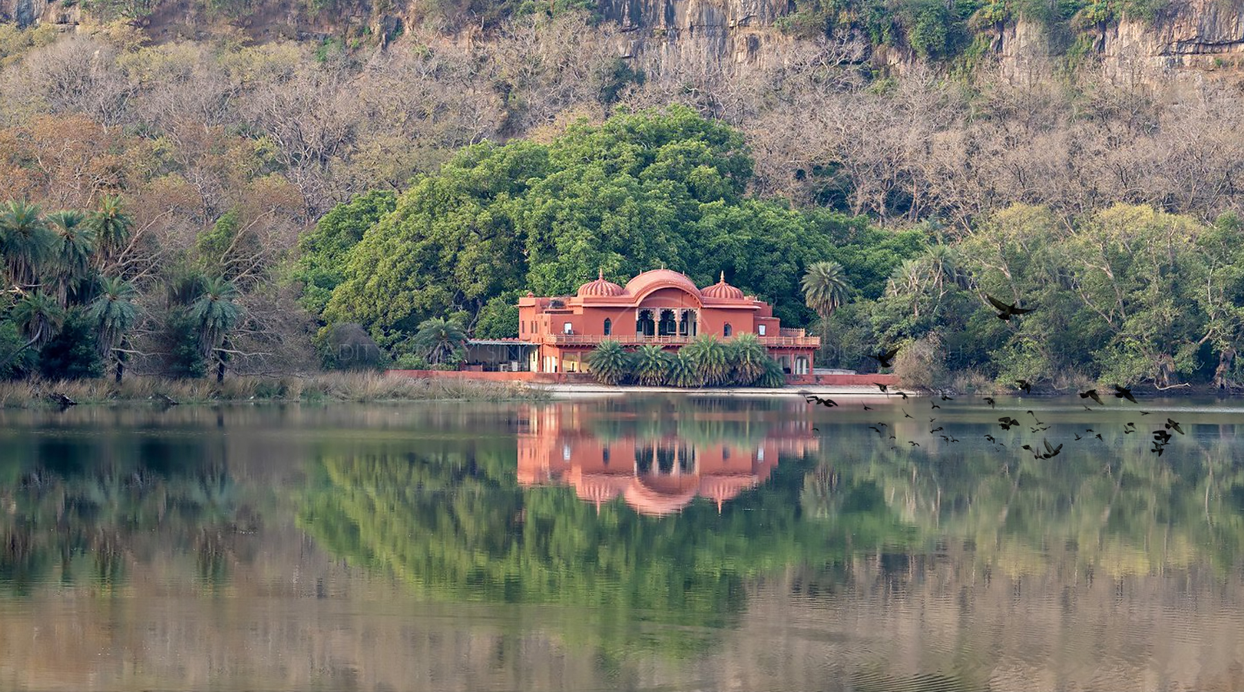 ranthambore national park