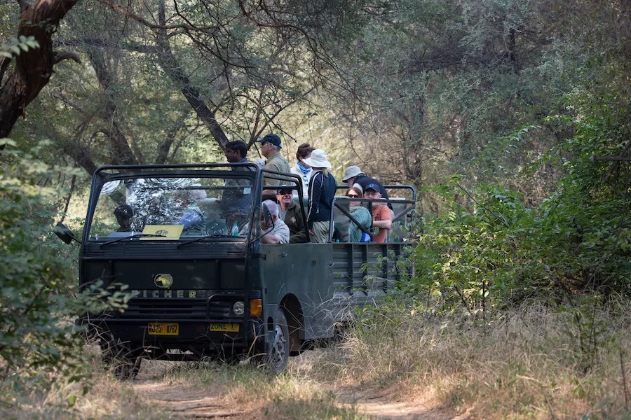 canter safari ranthambore