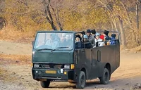 Safari canter